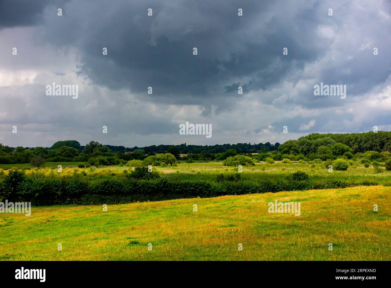 Stürmische graue Wolken über der flachen Landschaft in der Nähe von Surlingham in den Norfolk Broads in East Anglia England. Stockfoto