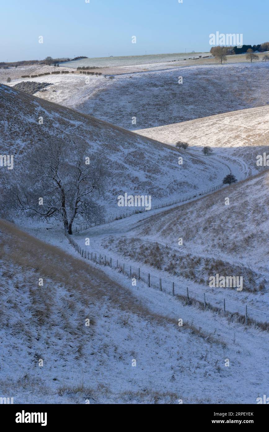 Eine Schneebedeckung in Frendal Dale, in der Nähe von Huggate in den Yorkshire Wolds, East Riding of Yorkshire, UK Stockfoto