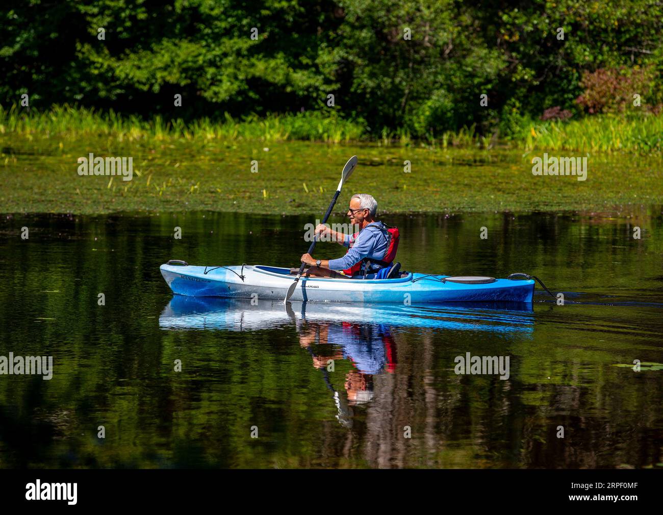 Älterer Rüde, der ein Kajak auf einem See paddelt Stockfoto