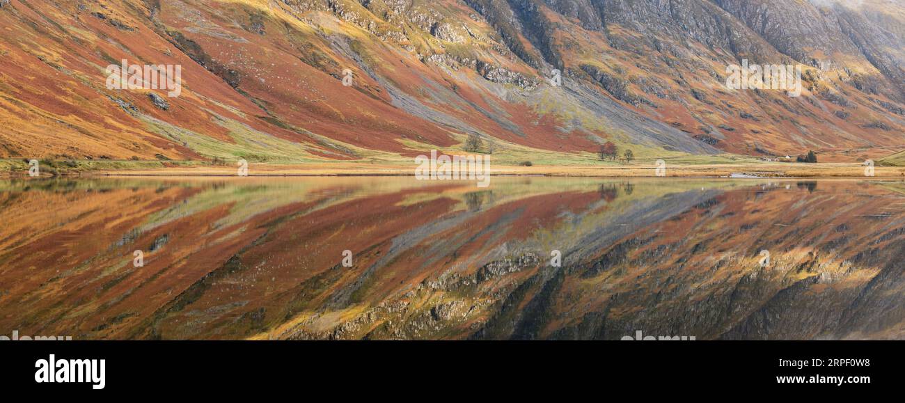Genähtes Panoramabild des Aonach-Eogach-Berges im Loch Achtriochtan mit Herbstfärbung auf den Hügeln im Herbst/Winter (November) Stockfoto