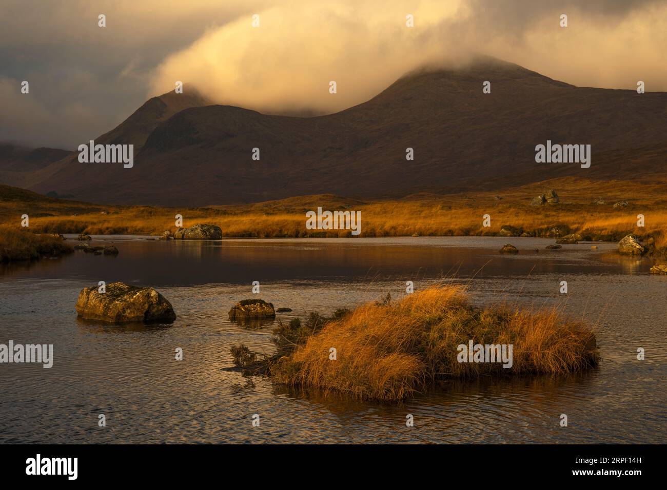 Frühmorgendlicht und Herbstfarbe am Rannoch Moor und am Black Mount im Herbst/Winter (November) Rannoch Moor, Lochaber, Highlands, Schottland, Großbritannien Stockfoto