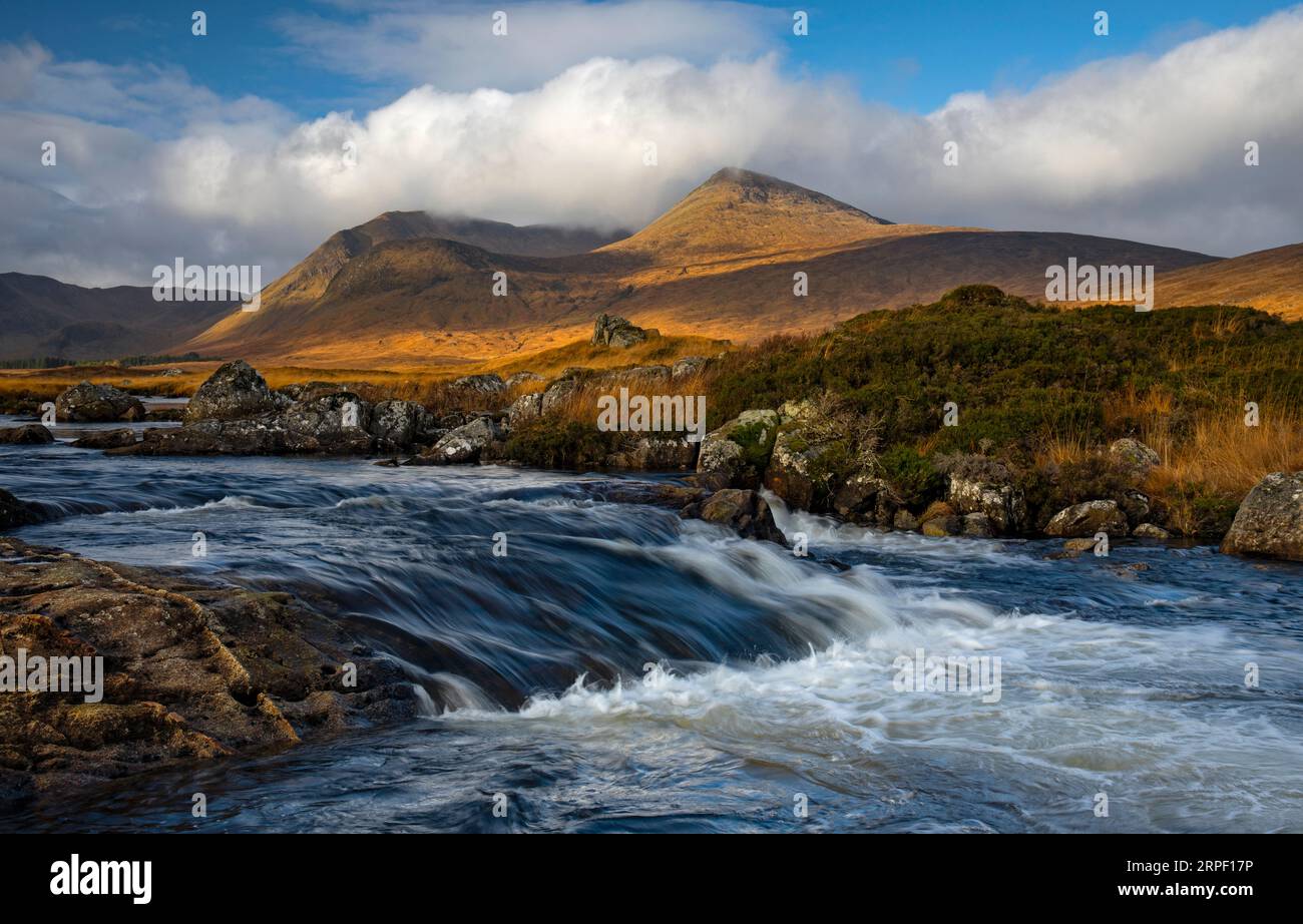 Herbstfarbe auf dem Rannoch Moor mit Blick auf den Schwarzen Berg im Herbst/Winter (November) Rannoch Moor, Lochaber, Highlands, Schottland, UK Stockfoto