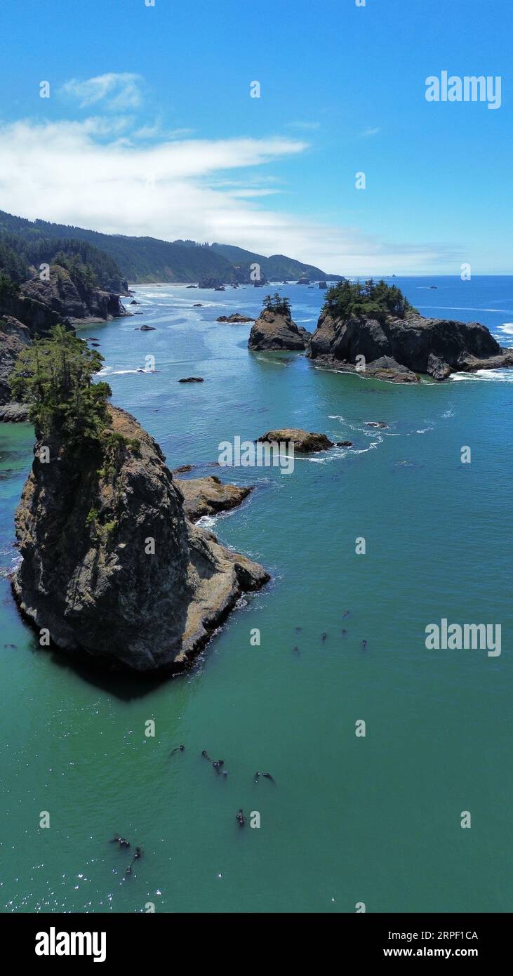 Luftaufnahme von Secret Beach im Samuel H. Boardman Scenic Corridor an der Küste von Oregon. Stockfoto