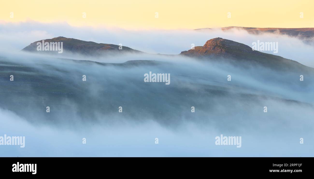 Gipfel der Smearsett Narbe, Ribblesdale, der bei Sonnenuntergang durch eine Nebel-/Wolkenumkehrung stochert, fotografiert über Langcliffe, Ribblesdale, Yorkshire Dales, North Stockfoto