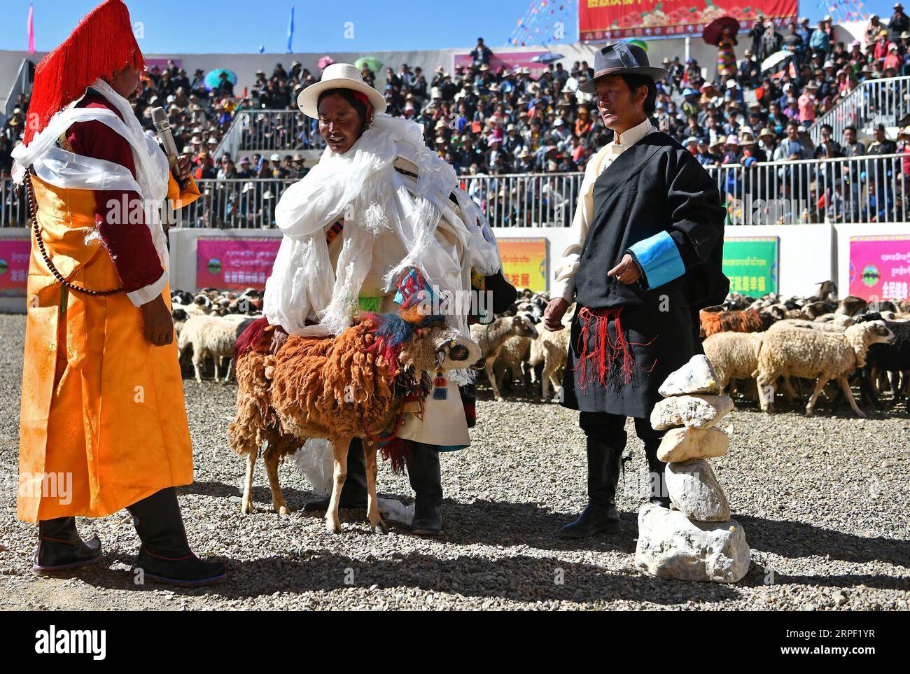 (190910) -- XIGAZE, 10. September 2019 -- Hirten eulogisieren einen Glockenspieler während der Schafschau in der Zhexia Township of Bainang County in Xigaze, Südwestchinas Autonome Region Tibet, 9. September 2019. Schafe zeigen oder Schafe zählen, ist eine traditionelle Aktivität in den Weidegebieten in der autonomen Region Tibet im Südwesten Chinas, in der Hirten die Anzahl ihrer Schafe zeigen und zählen. Sie werden auch ihre Glockengelehrten in einer symbolischen Geste aussuchen und eulogisieren, um im nächsten Jahr für ein gutes Wachstum des Viehbestands zu beten. (Foto von /Xinhua) (InTibet)CHINA-TIBET-XIGAZE-SHEEP SHOW (CN) SunxFei PUBLIKATION Stockfoto