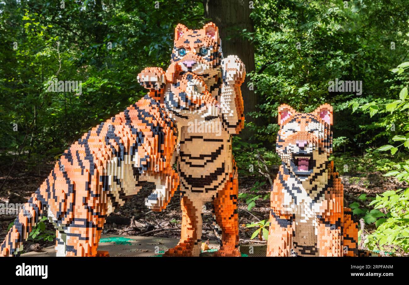 Zoo Planckendael, Mechelen, Belgien - 29. August 2023: Gemauerte Safari- und Tierausstellung mit Lego-Ziegeln. Bengalische Tigerjungen. Stockfoto