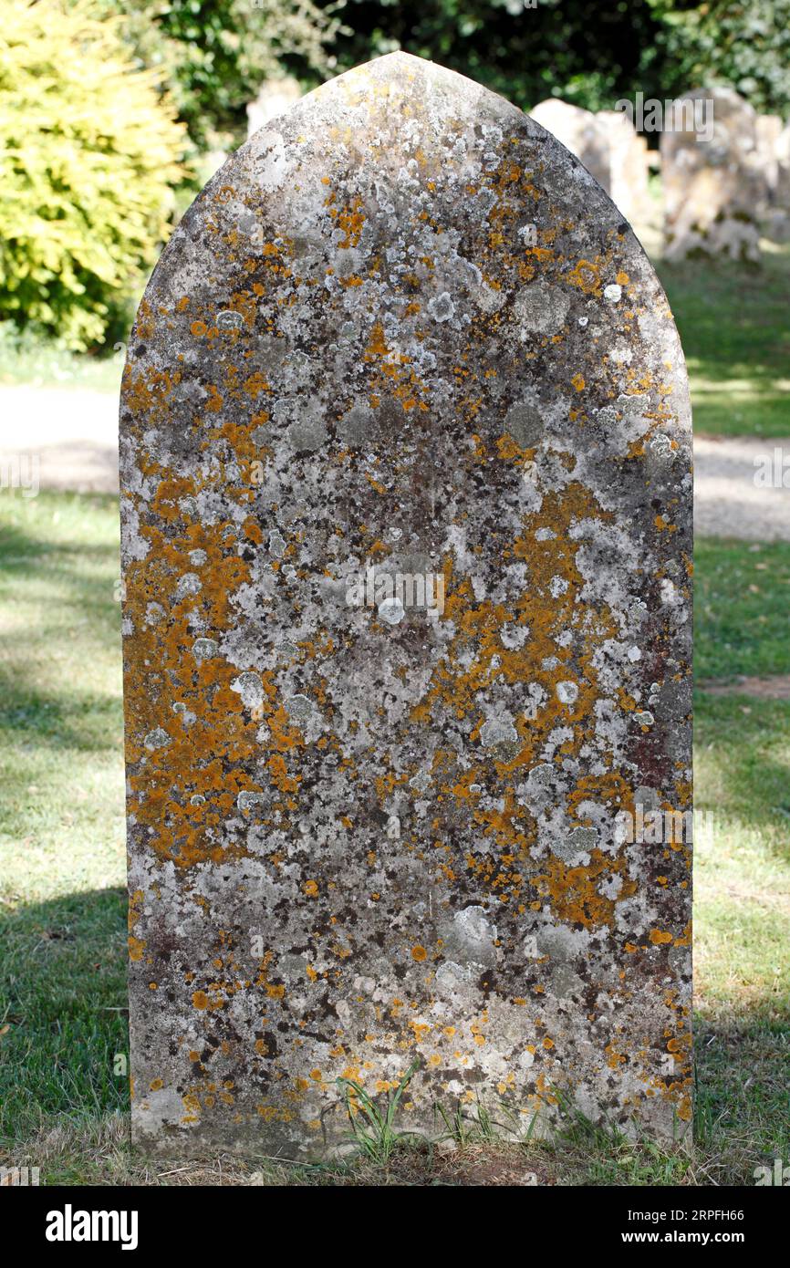 Flechten auf einem Grabstein oder Grabstein, Kirche St. Simon und St. Jude, Milton unter dem Holz. Milton-under-wychwood. Stockfoto