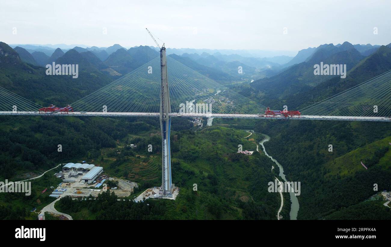 190926 -- PINGTANG, 26. September 2019 -- Luftaufnahme vom 21. September 2019 zeigt die Pingtang-Brücke in der südwestchinesischen Provinz Guizhou. Die Pingtang-Brücke wurde am Donnerstag geschlossen. Die Brücke, ein kolossales, von Kabeln getragenes Viadukt mit einer Spannweite von 2.135 Metern, wird als Hauptverbindung auf dem Pingtang-Luodian Expressway oberhalb des Caodu River Canyon dienen. Die Brücke wird Ende 2019 fertiggestellt und für den Verkehr geöffnet sein, wodurch die Fahrzeit zwischen Pingtang und Luodian von zweieinhalb Stunden auf etwa eine Stunde verkürzt wird. CHINA-GUIZHOU-PINGTANG BRÜCKENBAUSCHLUSS CN YANGXWENB Stockfoto