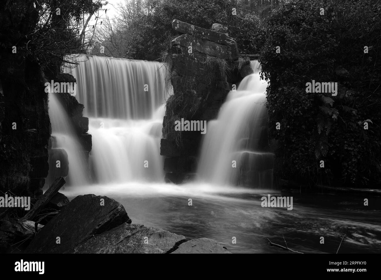 Der künstlich hergestellte Penllergaer Wasserfall. Ein Tropfen von etwa 10 Fuß.Penllergaer Valley Woods. Stockfoto