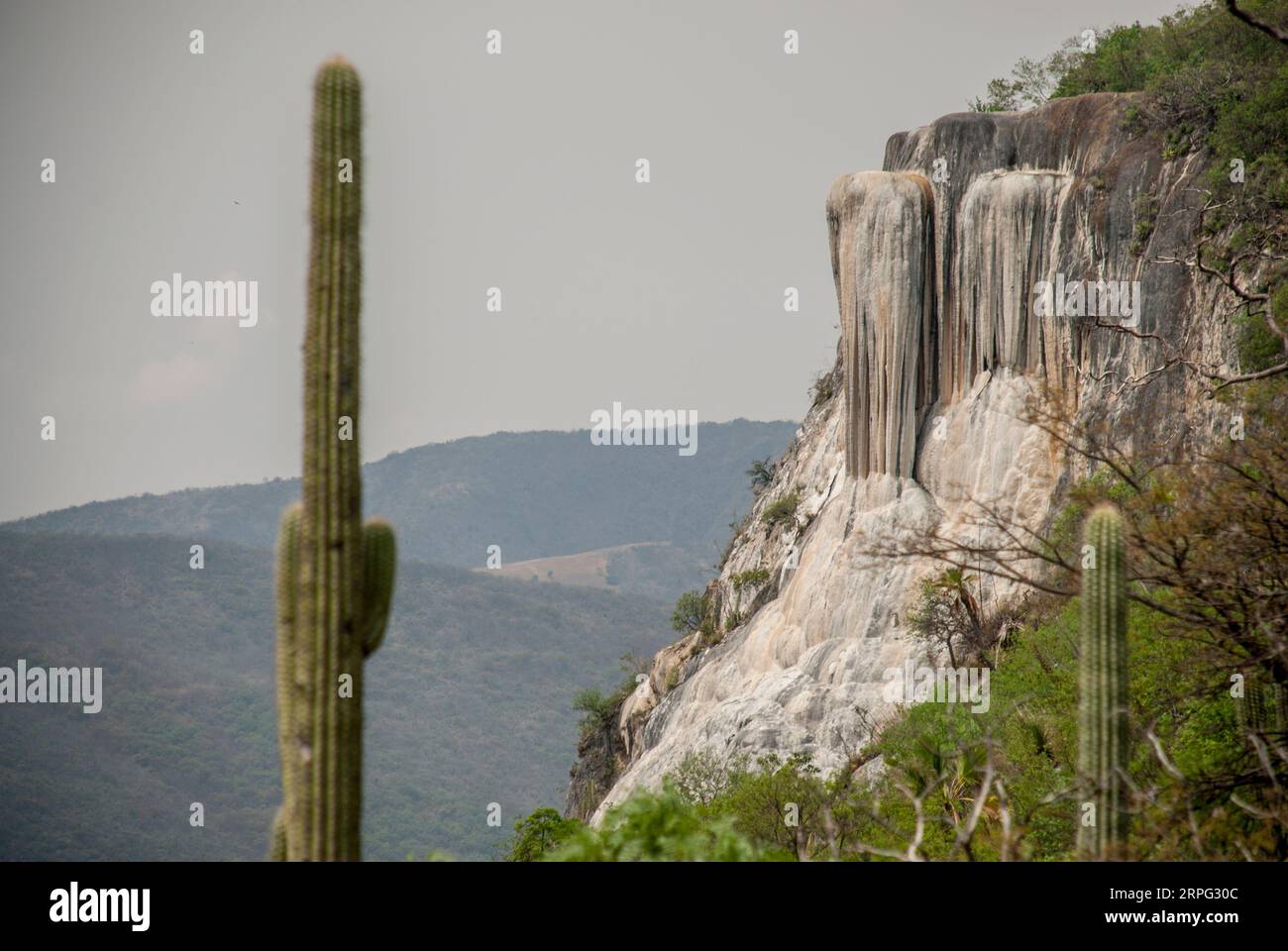 Landschaft von Hierve el Agua, Oaxaca, México. Versteinerte Wasserfälle. Stockfoto