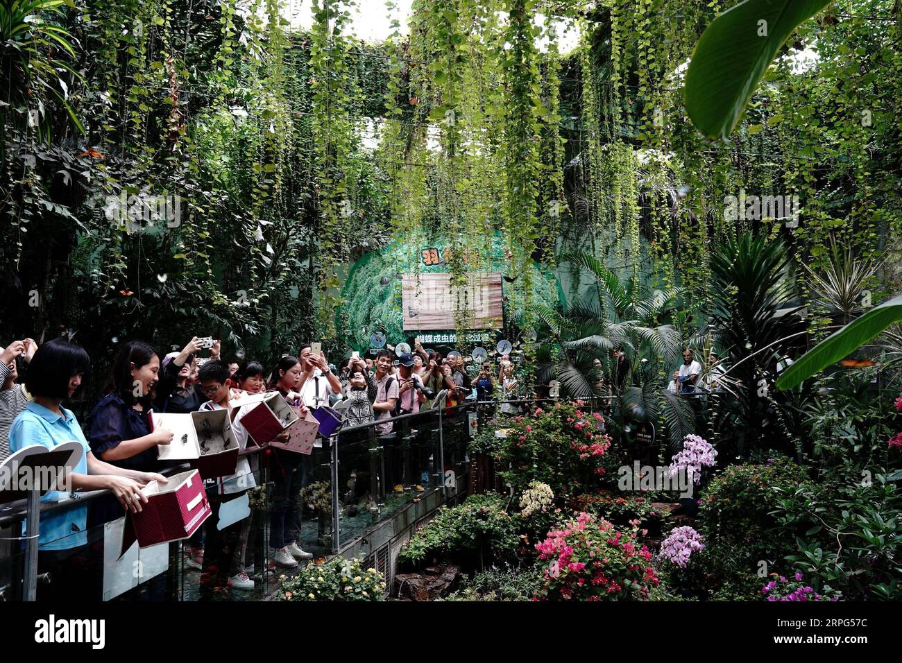 191002 -- SHANGHAI, 2. Oktober 2019 -- Menschen nehmen an einer Schmetterlingsfreisetzungsaktivität im Shanghai Zoo im ostchinesischen Shanghai Teil, 2. Oktober 2019, dem zweiten Tag des 7-tägigen Nationalfeiertags. CHINA-NATIONAL DAY-HOLYDAY CN ZhangxJiansong PUBLICATIONxNOTxINxCHN Stockfoto