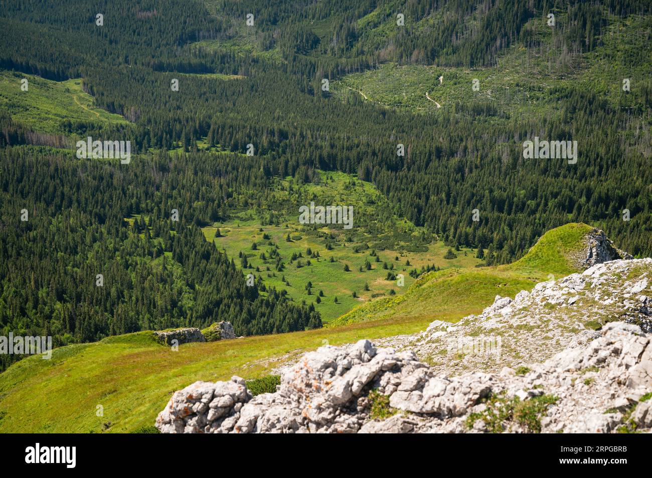 Hohe Tatra Schönheit: Erkunden Sie die unberührte Schönheit des grasbewachsenen Berges der Belianske Tatra, mit einem bezaubernden Tal aus üppigen Wäldern, die sich über Benita ausbreiten Stockfoto