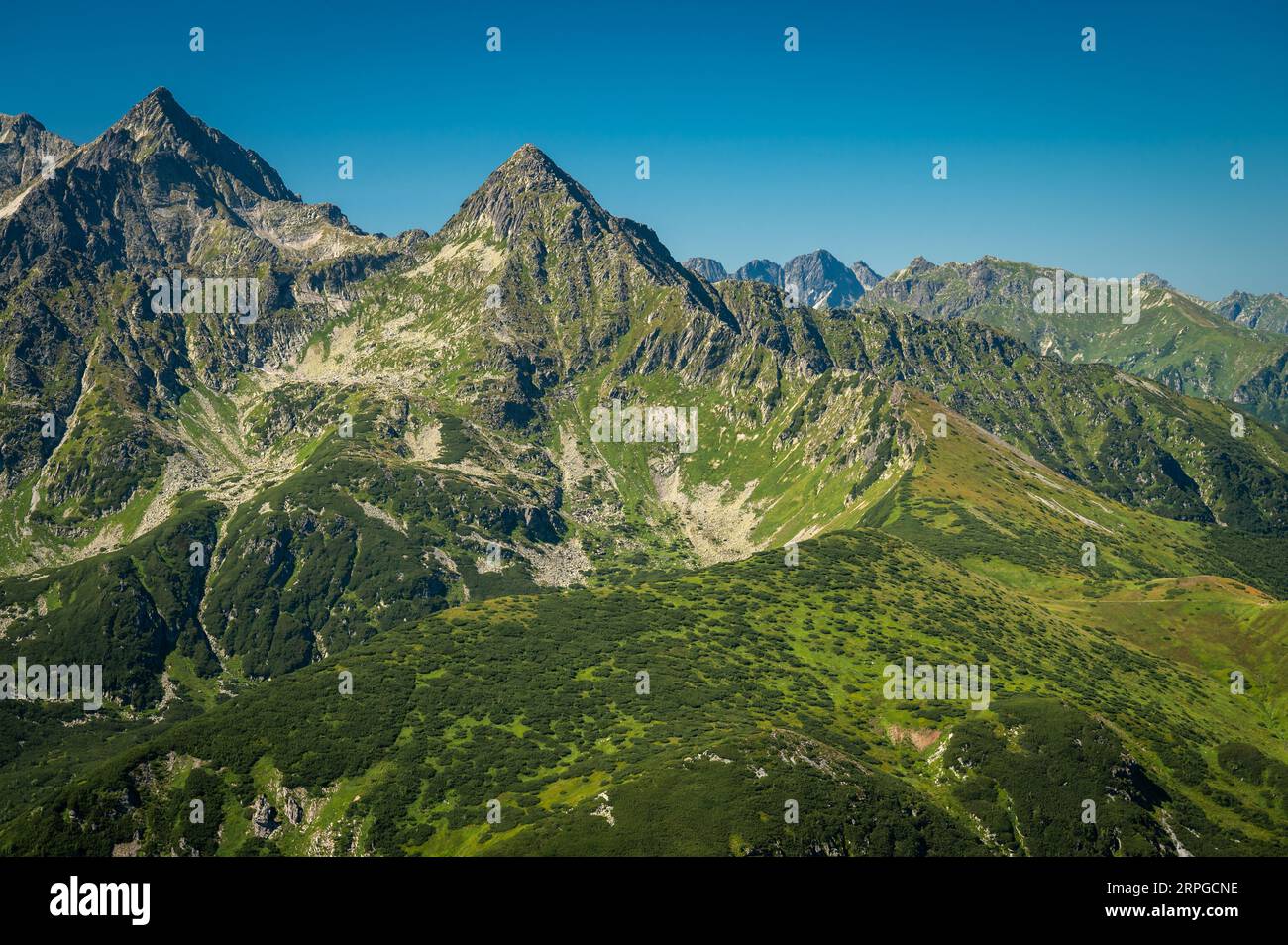 Eine idyllische Szene der Hohen Tatra, die aus dem Herzen der Belianske Tatra auftaucht, umrahmt von einer lebendigen Wiese und einem makellosen blauen Baldachin darüber Stockfoto