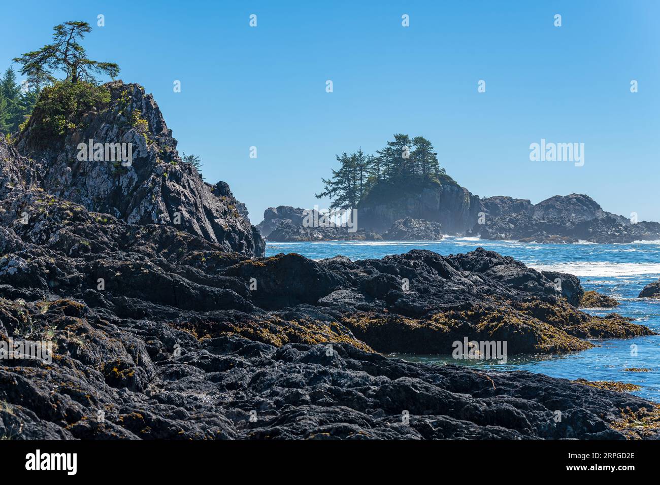 Blick auf den Pazifik entlang des Wild Pacific Trail oder Lighthouse Loop, Ucluelet, Pacific Rim National Park, Kanada. Stockfoto