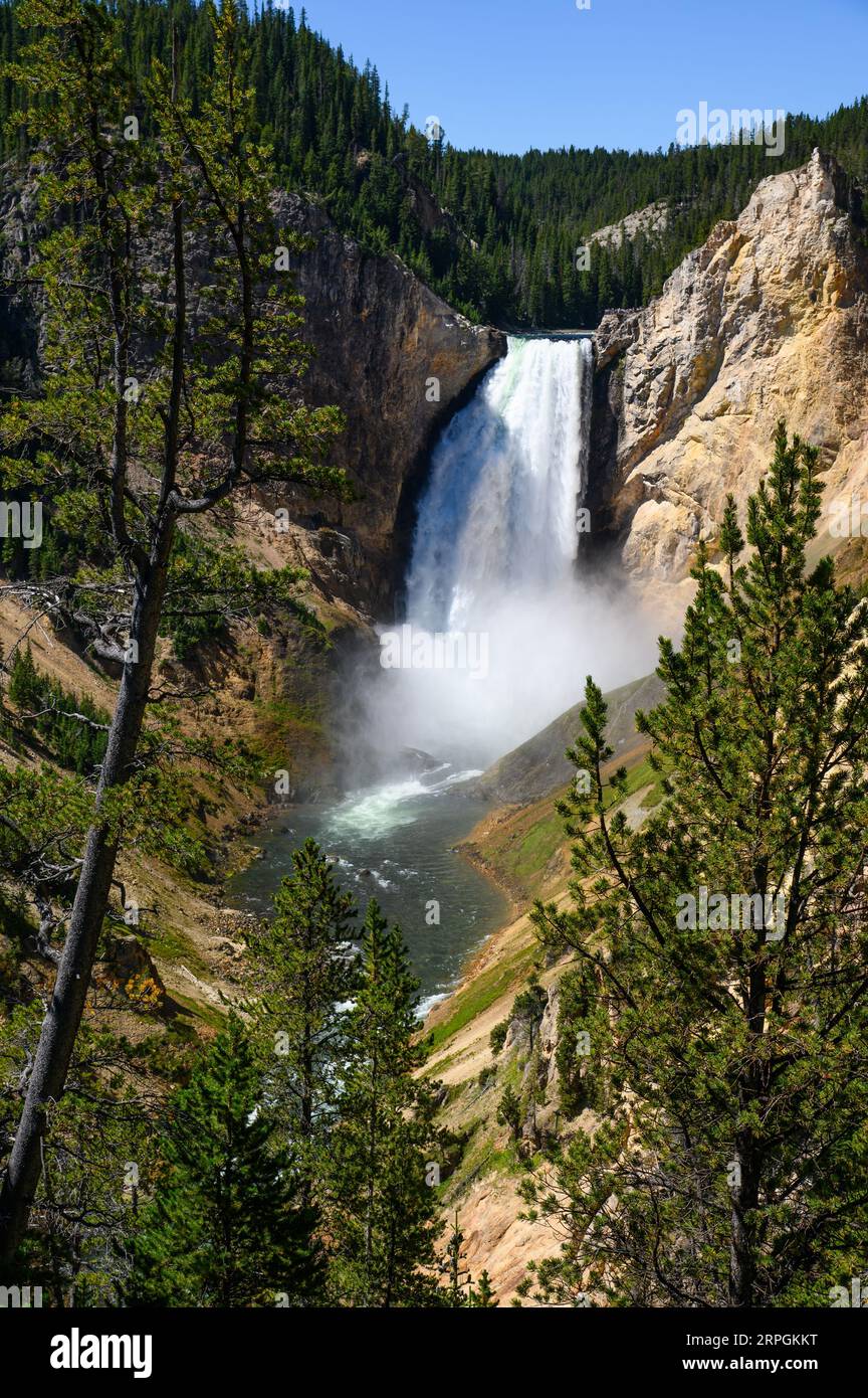 Die Wasserfälle im Grand Canyon von Yellowstone im Yellowstone-Nationalpark Stockfoto