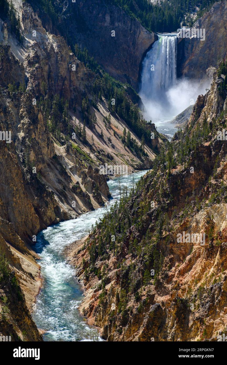 Die Wasserfälle im Grand Canyon von Yellowstone im Yellowstone-Nationalpark Stockfoto