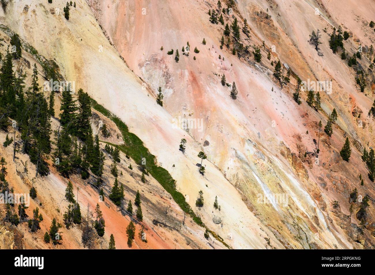 Die leuchtenden Farben der Wände des Grand Canyon von Yellowstone im Yellowstone-Nationalpark Stockfoto