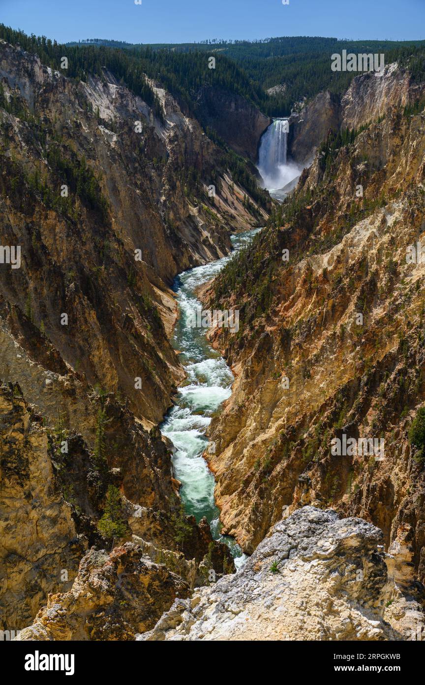 Die Wasserfälle im Grand Canyon von Yellowstone im Yellowstone-Nationalpark Stockfoto