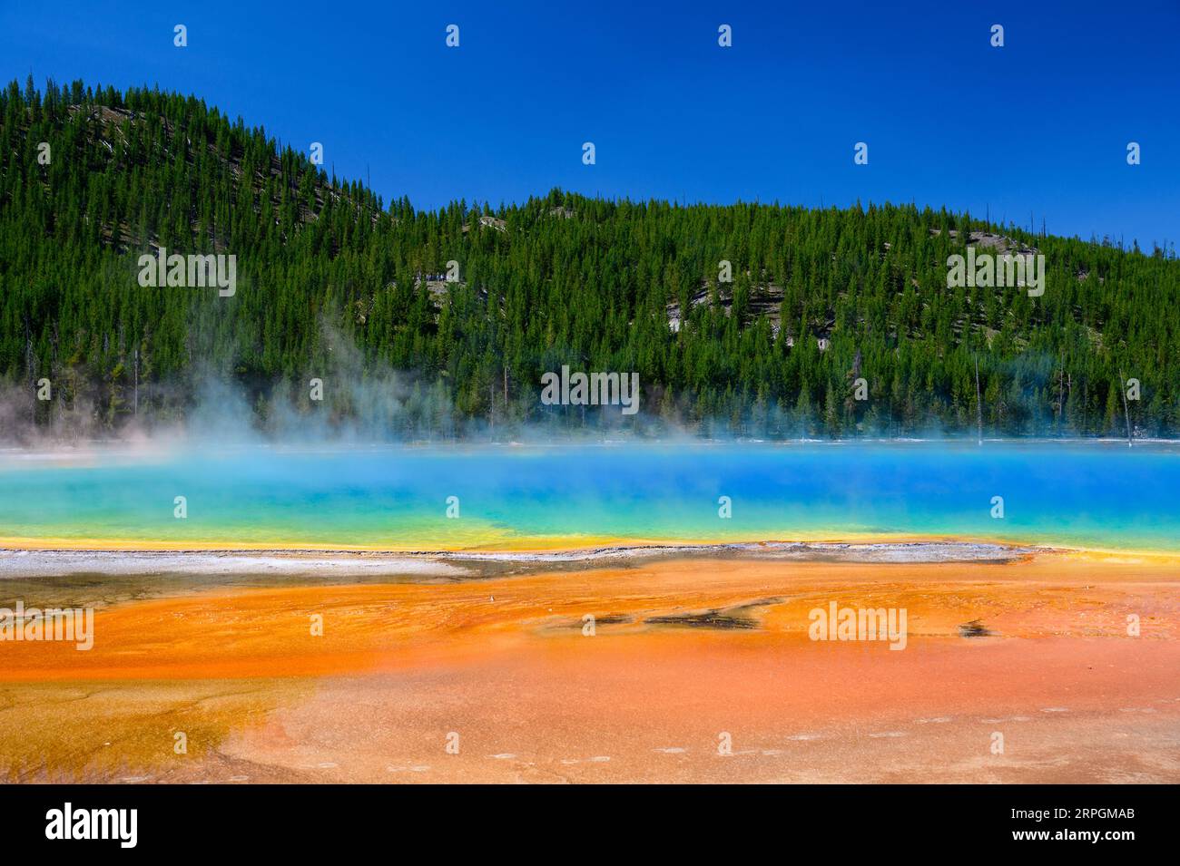 Die leuchtenden Farben des Grand Prismatic Spring im Yellowstone National Park, USA Stockfoto