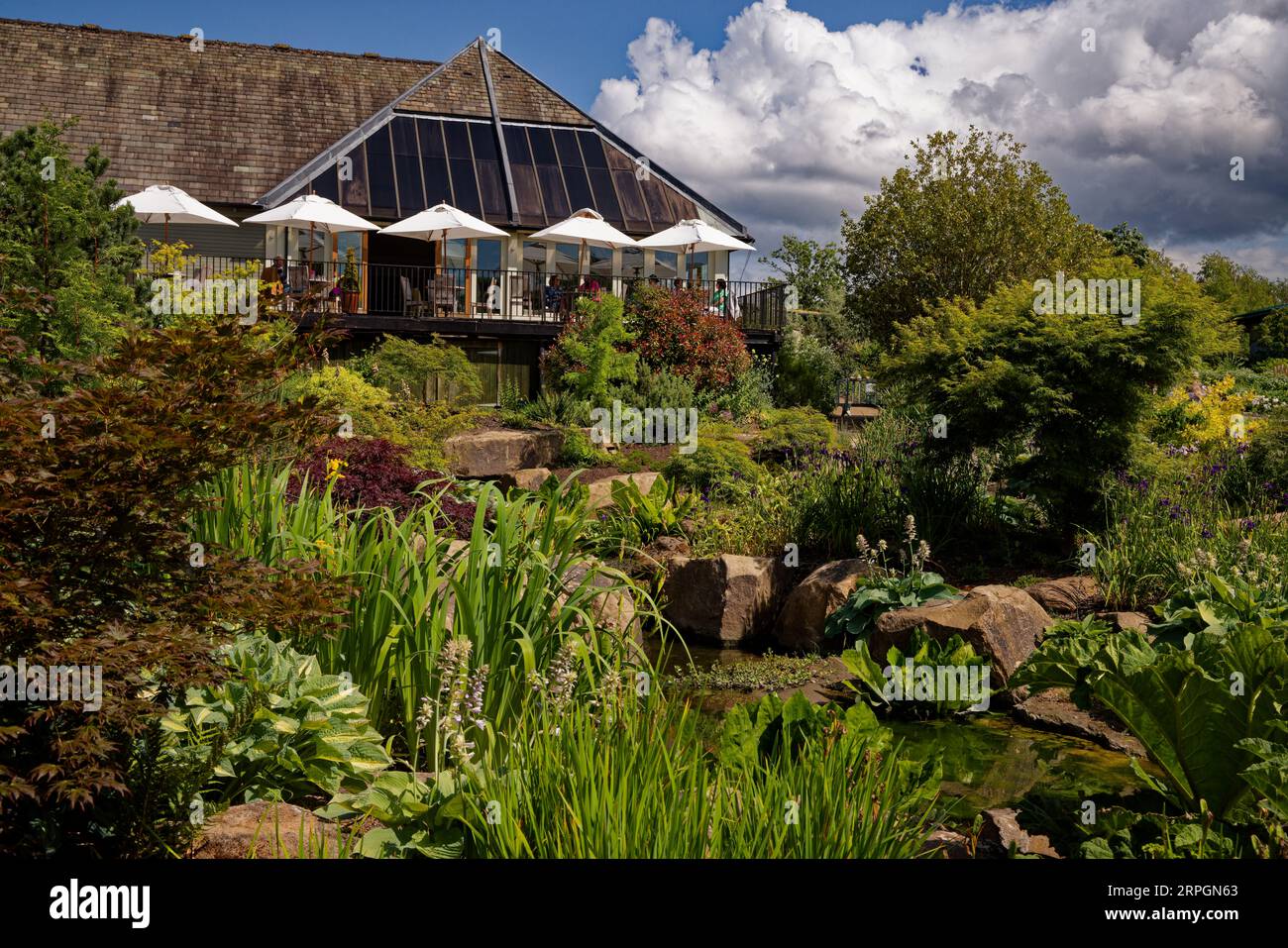 Harlow Carr Gardens, Harrogate, Yorkshire Stockfoto