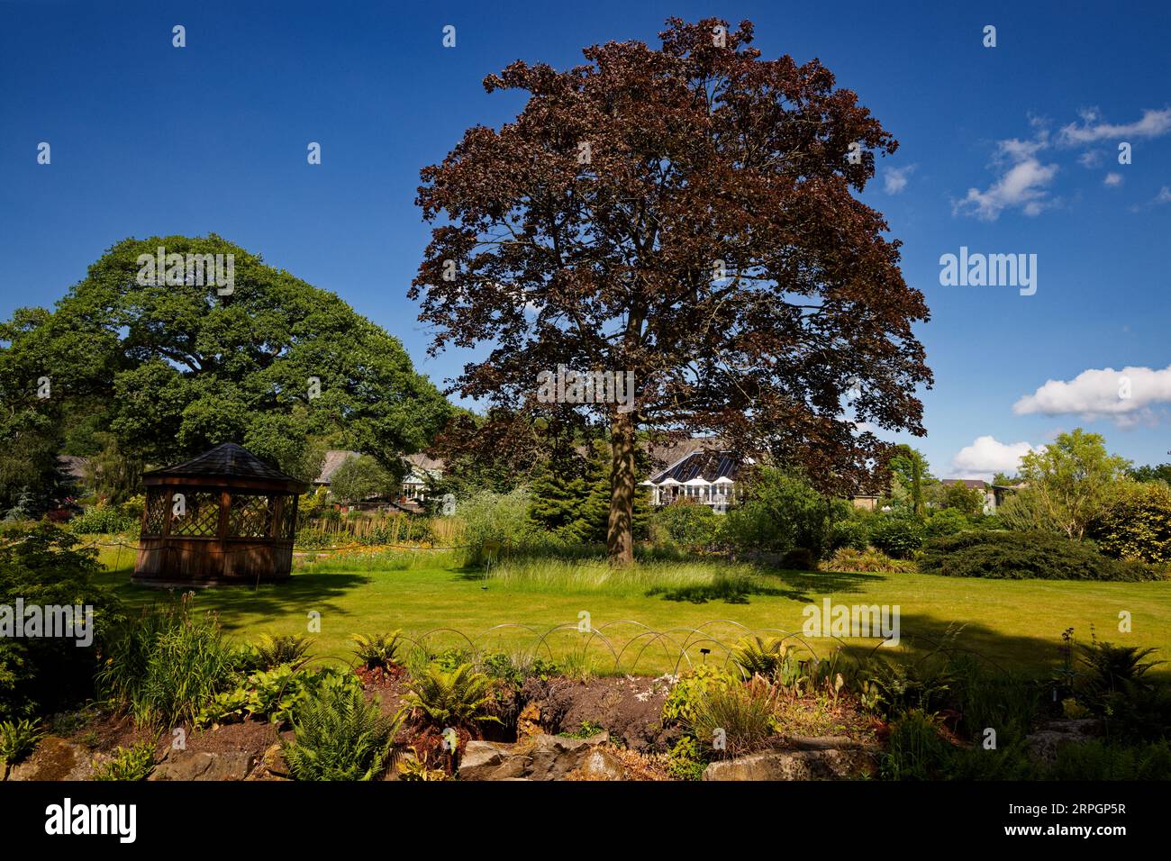 Harlow Carr Gardens, Harrogate, Yorkshire Stockfoto