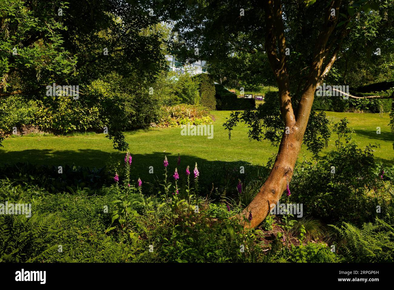 Harlow Carr Gardens, Harrogate, Yorkshire Stockfoto
