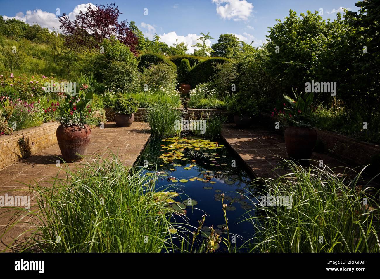 Harlow Carr Gardens, Harrogate, Yorkshire Stockfoto