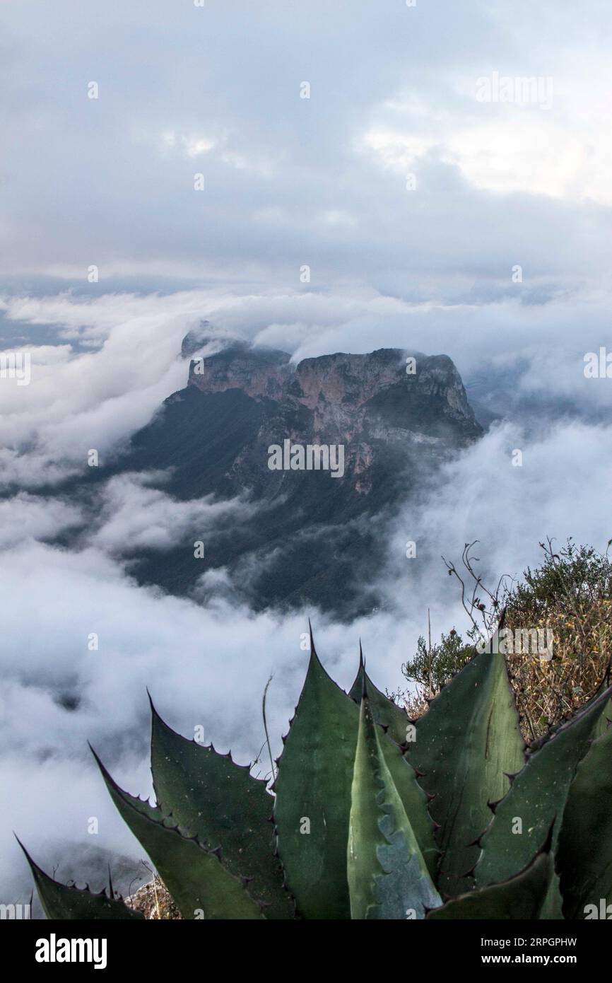 Eine bergige Landschaft in Cuatro Palos, Querétaro, Mexiko. Stockfoto