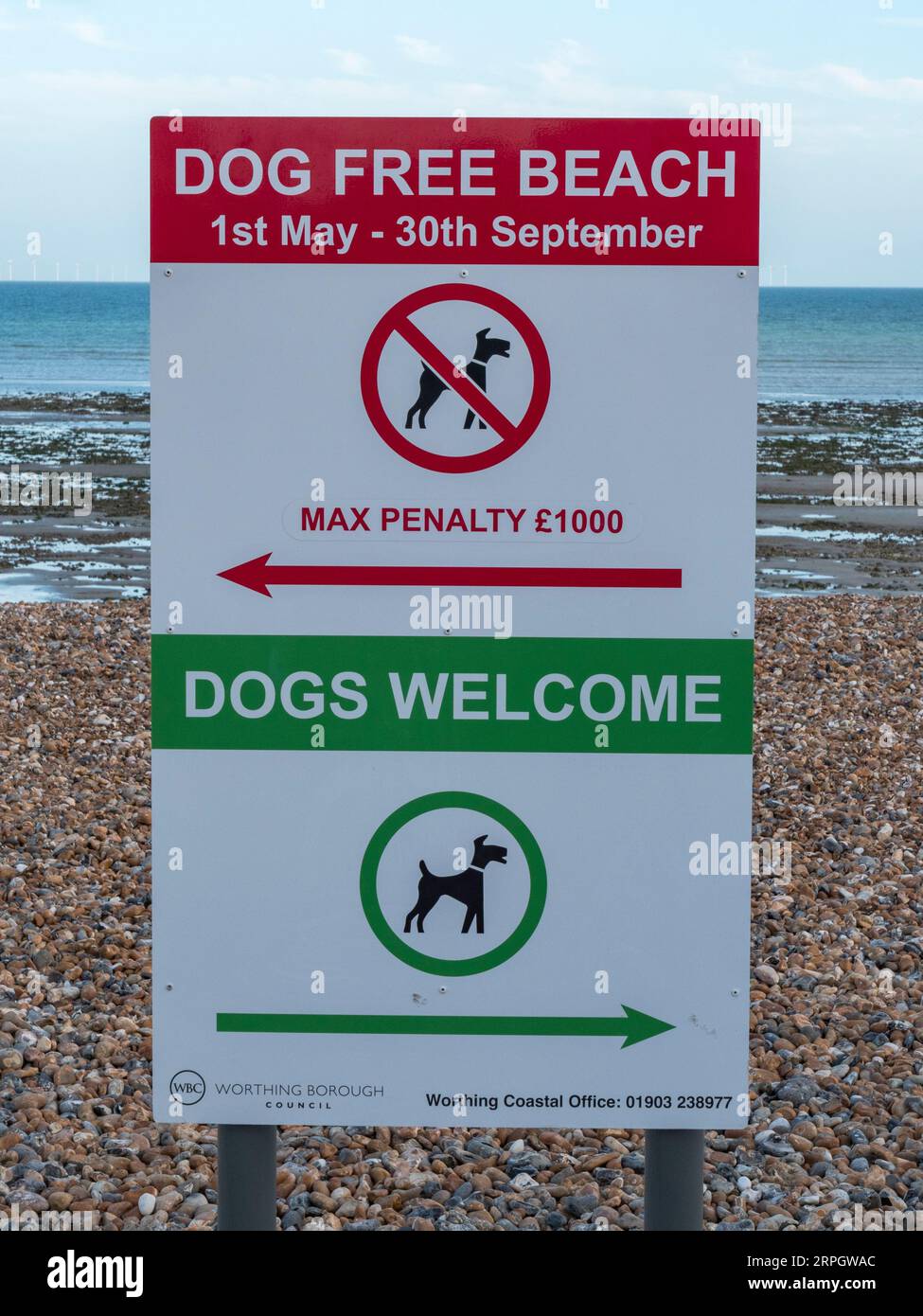 Die Schilder „Dog Free Beach“ und „Dogs Welcome“ markieren die Grenze zwischen den beiden am Worthing Beach, West Sussex, Großbritannien. Stockfoto