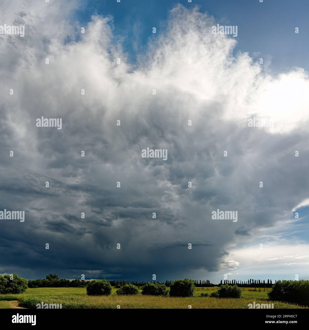 Mächtige Gewitterfront mit bedrohlicher Wolkenbildung, aus der teilweise Regen fällt, über eine flache Auenlandschaft mit Wiesen, Büschen und Stockfoto