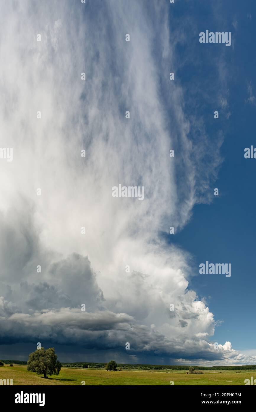 Heftige Gewitterfront mit bedrohlicher Wolkenbildung, aus der teilweise Regen fällt, über eine flache Auenlandschaft mit Wiesen und einzelner tr Stockfoto