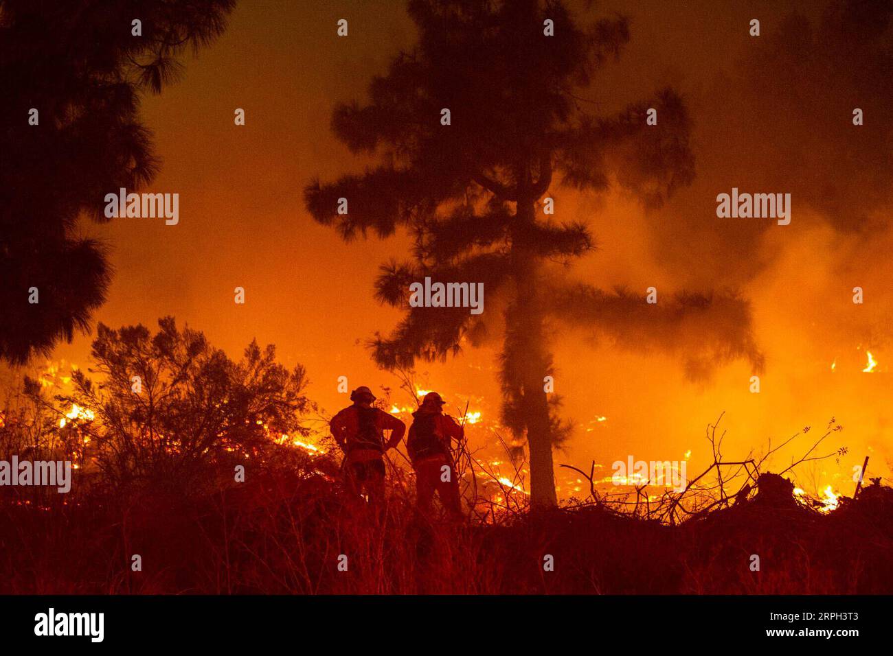 191029 -- LOS ANGELES, 29. Oktober 2019 -- Firefighters Work Near Getty Center in Los Angeles, USA, 28. Oktober 2019. Tausende von Bewohnern wurden gezwungen, ihre Häuser zu evakuieren, nachdem am frühen Montagmorgen in der Nähe des berühmten Getty Center in Los Angeles im westlichen US-Bundesstaat Kalifornien ein sich schnell bewegender Lauffeuer ausbrach. Foto von /Xinhua U.S.-LOS ANGELES-FIRE QianxWeizhong PUBLICATIONxNOTxINxCHN Stockfoto