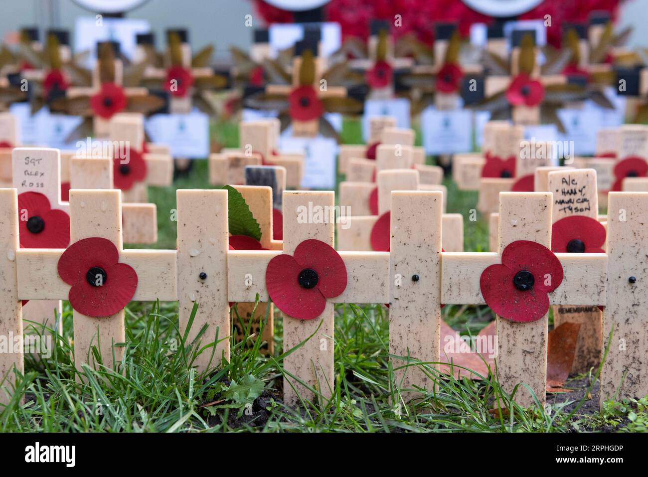 191108 -- PEKING, 8. Nov. 2019 -- Foto aufgenommen am 7. Nov. 2019 zeigt Holzkreuze auf dem 91. Field of Remembrance in der Westminster Abbey in London, Großbritannien. Das Feld der Erinnerung findet seit 1928 auf dem Gelände der Abtei statt. In diesem Jahr wurden hunderte kleine Kreuze mit Mohnblüten auf dem Feld der Erinnerung gepflanzt, um britischen Soldaten und Frauen, die in Konflikten ihr Leben verloren haben, Tribut zu zollen. Foto von /Xinhua XINHUA FOTOS DES TAGES RayxTang PUBLICATIONxNOTxINxCHN Stockfoto