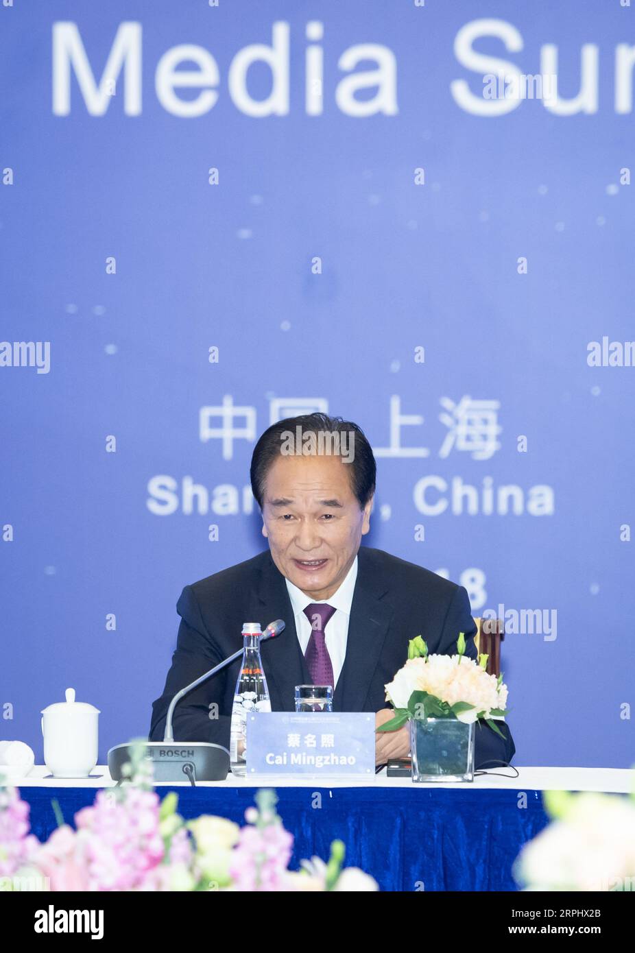 191118 -- SHANGHAI, 18. November 2019 -- Cai Mingzhao, Executive President des World Media Summit WMS und President der Xinhua News Agency, leitet und hält eine Keynote auf der vierten Sitzung des WMS-Präsidiums in Shanghai, Ostchina, 18. November 2019. Hochrangige Führungskräfte von 13 Medienorganisationen aus 11 Ländern nahmen an dem Treffen zum Thema "neue Ära", "neue Medien" und "neue Vision" Teil. CHINA-SHANGHAI-WORLD MEDIA SUMMIT-PRESIDIUM MEETING CN LIXXIANG PUBLICATIONXNOTXINXCHN Stockfoto