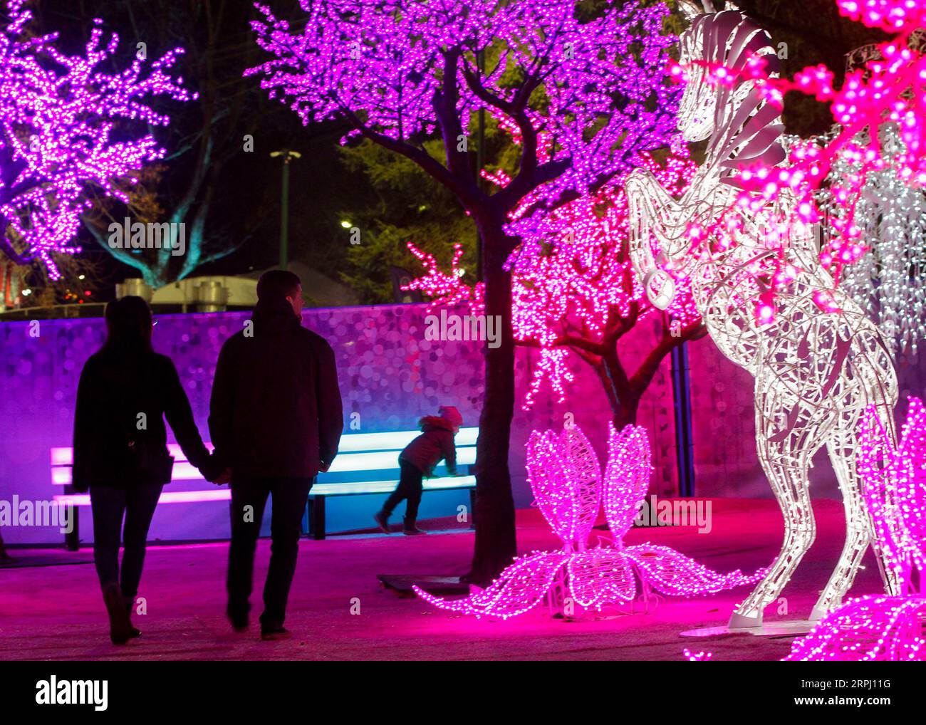 191122 -- VANCOUVER, 22. November 2019 Xinhua -- Menschen gehen an Lichtvorführungen während des Aurora Winter Festivals in Vancouver, Kanada vorbei. Nov. 2019. Auf 15 Hektar Fläche verwandelt sich das Aurora Winter Festival mit Lichterscheinungen und Urlaubsattraktionen in ein Winterwunderland. Foto von Liang Sen/Xinhua CANADA-VANCOUVER-WINTER-FESTIVAL PUBLICATIONxNOTxINxCHN Stockfoto
