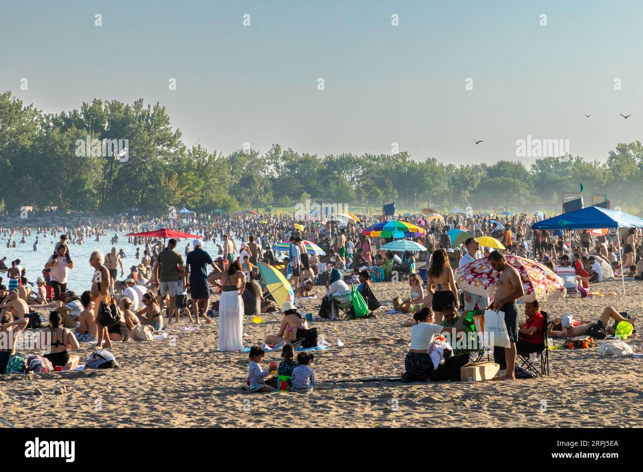 Toronto, Kanada, 4. September 2023. Tausende von Menschen nutzen einen heißen, trüben Tag der Arbeit, um sich zu einem East-End-Toronto-Strand zu strömen und sich in einem kalten Lake Ontario abzukühlen. Colin N. Perkel/Alamy Live News Stockfoto