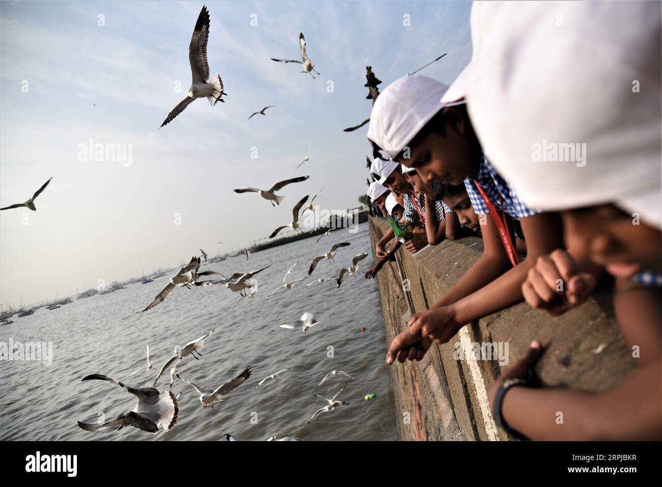 191204 -- MUMBAI, 4. Dezember 2019 -- Schulkinder füttern Möwen in Mumbai, Indien, 4. Dezember 2019. Foto von Fariha Farooqui/Xinhua INDIA-MUMBAI-DAILY LIFE-SEAGULLS XinxHuashe PUBLICATIONxNOTxINxCHN Stockfoto