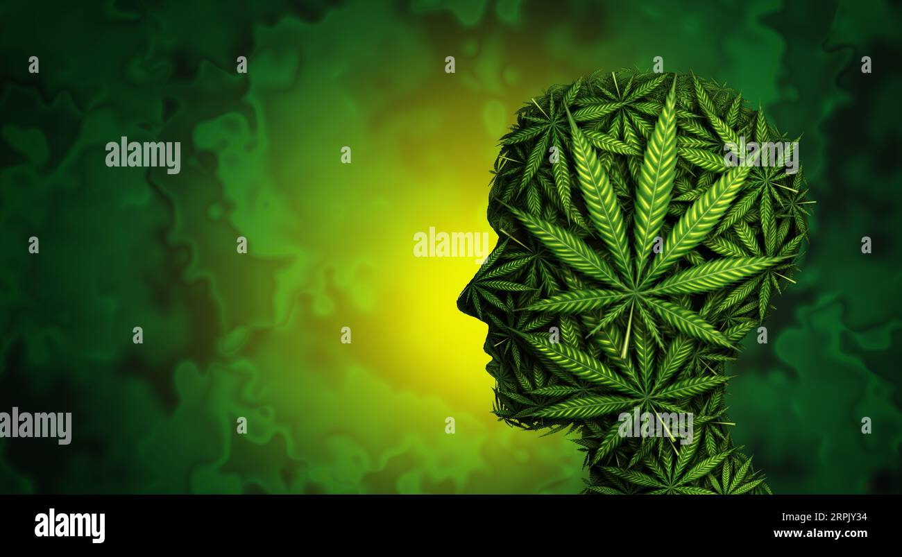 Marihuana Gesundheitsrisiken und Gefahren beim Cannabisrauchen mit kognitiver Funktion und Lungenerkrankung als menschlicher Kopf mit Unkrautblättern als Freizeittopf Stockfoto