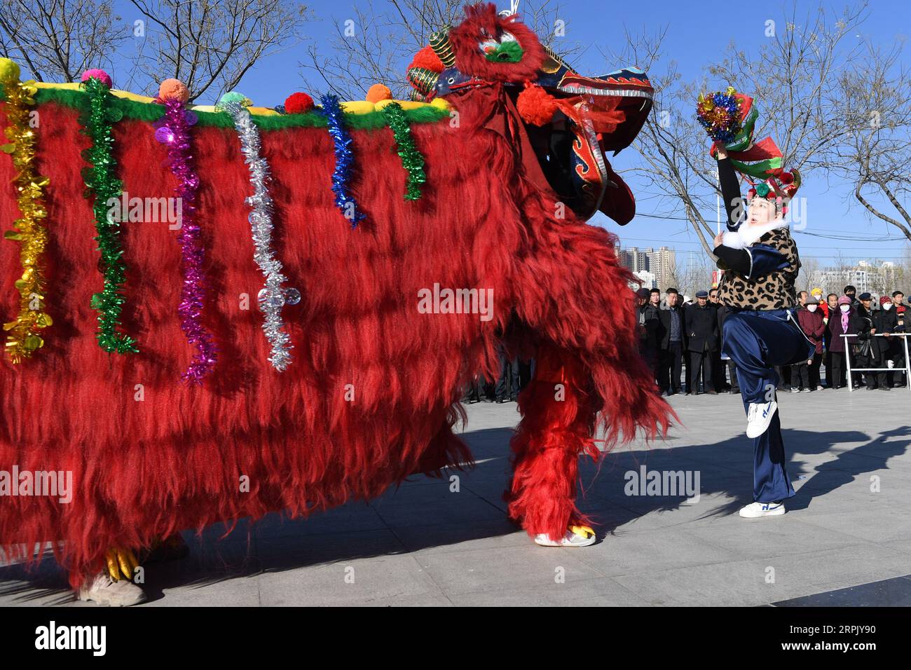 191222 -- YONGDENGANSU, 22. Dezember 2019 -- Folk Artists Proben Lion Dance für das bevorstehende chinesische Mondneujahr im Yongdeng County, Lanzhou, Hauptstadt der nordwestchinesischen Provinz Gansu, 22. Dezember 2019. Lion Dance ist eine traditionelle Darstellerkunst Chinas. Der Yongdeng Lion Dance, ein lokaler Lion Dance, der für seine unverwechselbare und komplizierte Bewegung bekannt ist, wurde 2011 als immaterielles Kulturerbe der Provinz Gansu aufgeführt. Das Löwenkostüm, das von Holzstreifen im Inneren getragen wird, ist etwa 2,8 Meter lang und 1,8 Meter hoch, was den Tanz zu einer anspruchsvollen Aufgabe für Darsteller macht. CHINA-GANSU- Stockfoto