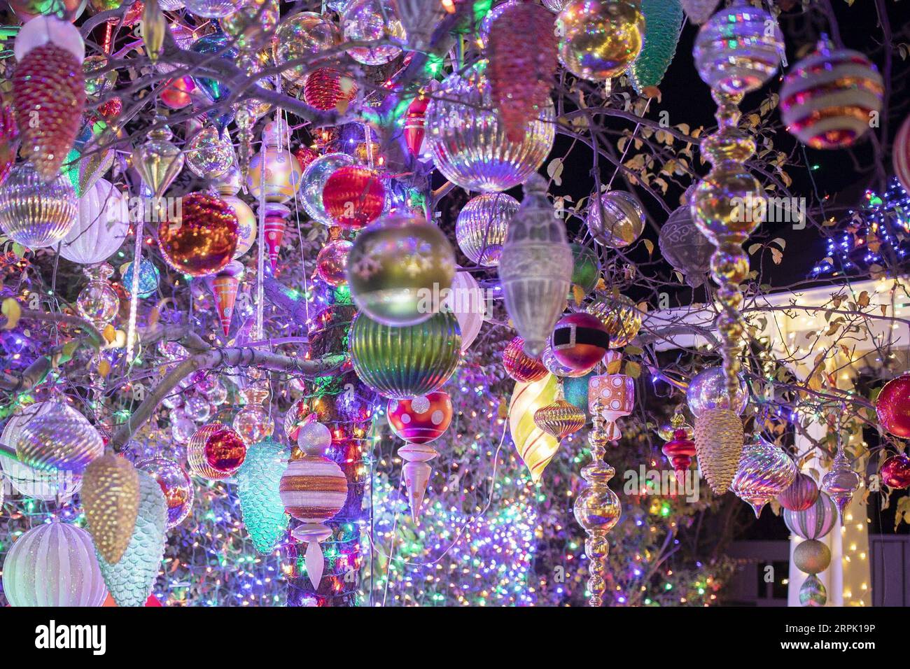 191224 -- SAN FRANCISCO, 24. Dezember 2019 -- Weihnachtsdekorationen sind auf der Eucalyptus Avenue in San Carlos von Kalifornien, USA, 23. Dezember 2019 zu sehen. Foto von /Xinhua U.S.-SAN FRANCISCO-CHRISTMAS-DECORATIONS LixJianguo PUBLICATIONxNOTxINxCHN Stockfoto