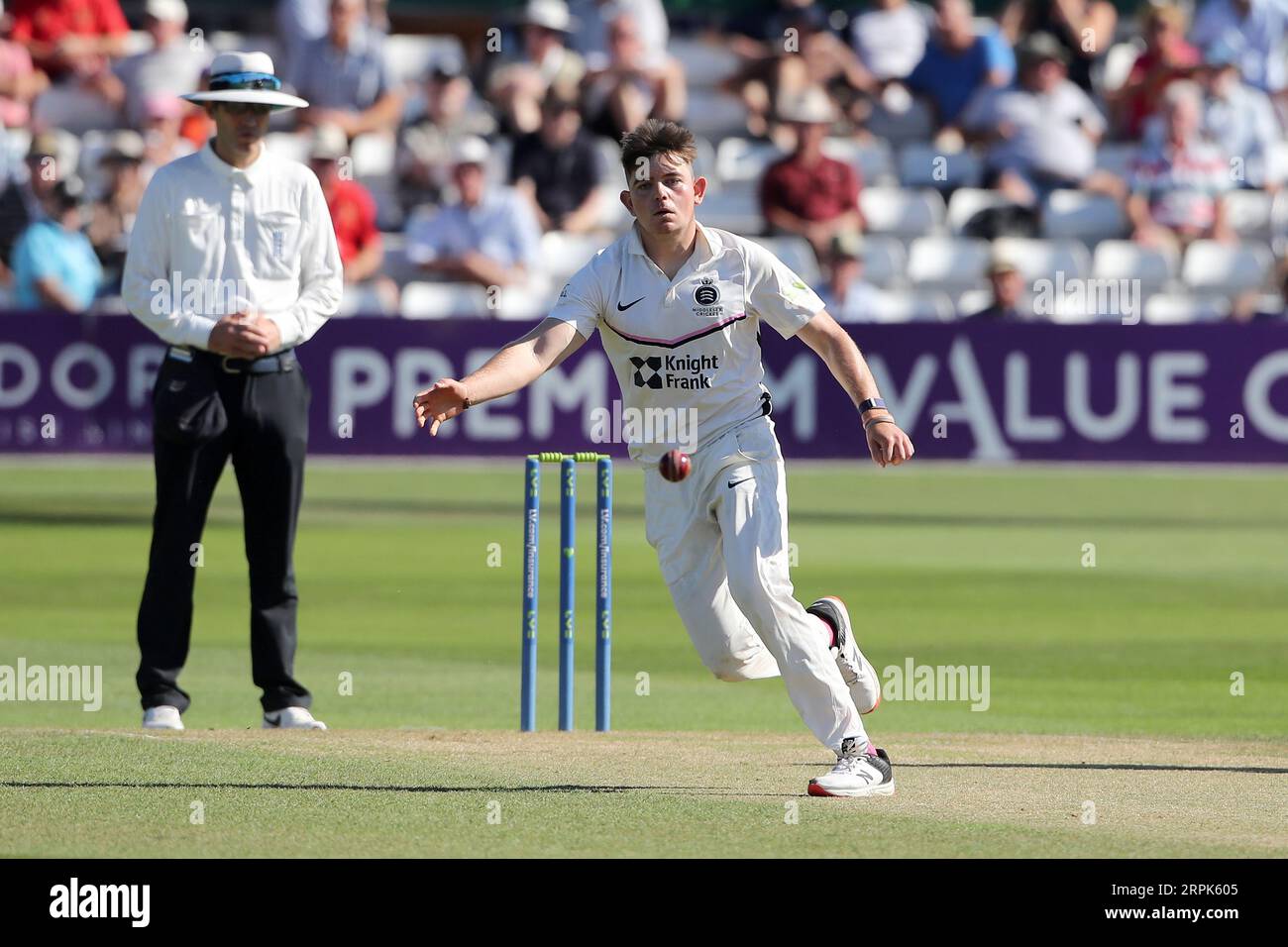 Ethan Bamber in Aktion für Middlesex während des Essex CCC vs Middlesex CCC, LV Insurance County Championship Division 1 Cricket auf dem Cloud County Ground Stockfoto