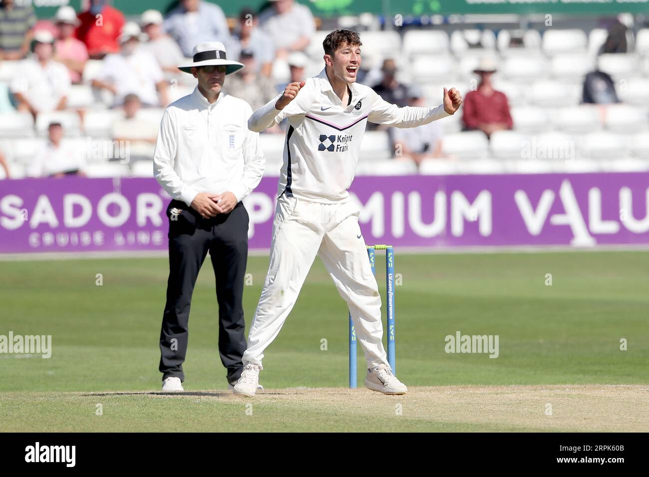 Josh de Caires aus Middlesex feiert den Sieg über Nick Browne während des Essex CCC gegen Middlesex CCC, LV Insurance County Championship Division 1 Stockfoto