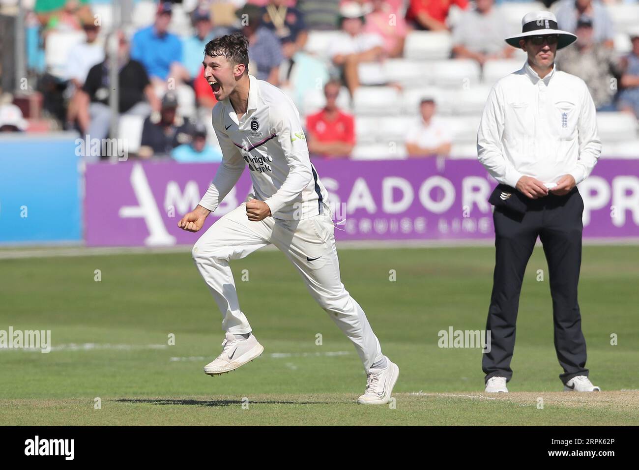 Josh de Caires aus Middlesex feiert den Sieg über Paul Walter während des Essex CCC gegen Middlesex CCC, LV Insurance County Championship Division 1 Stockfoto