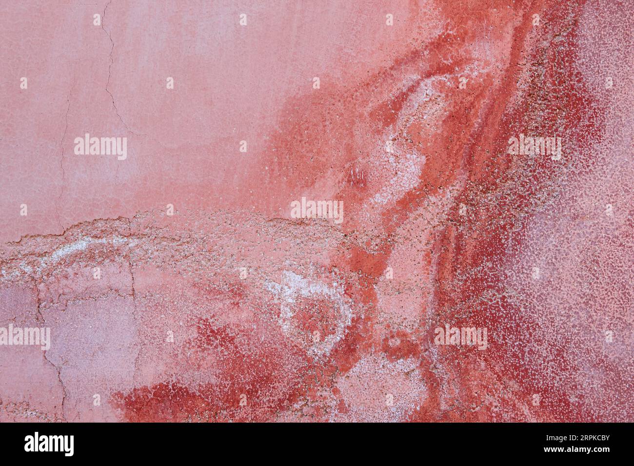 Feuchte Flecken an einer roten Wand. Hausbeschädigung und Renovierung Stockfoto