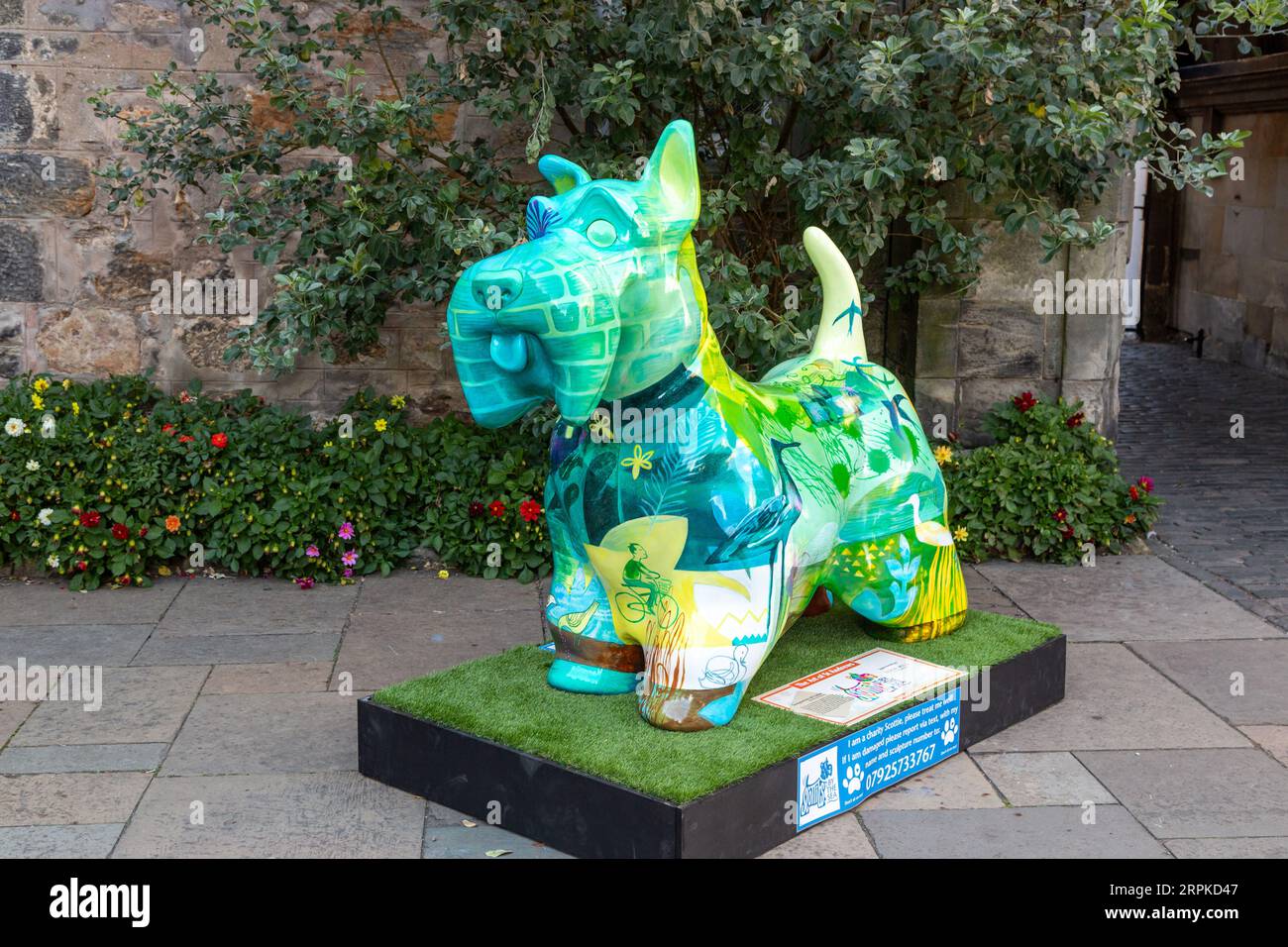 The Art of St Andrews St Mary's Quad, Part of Scotties by the Sea: A New Scottie Dog Statue Trail St Andrews, Fife Stockfoto