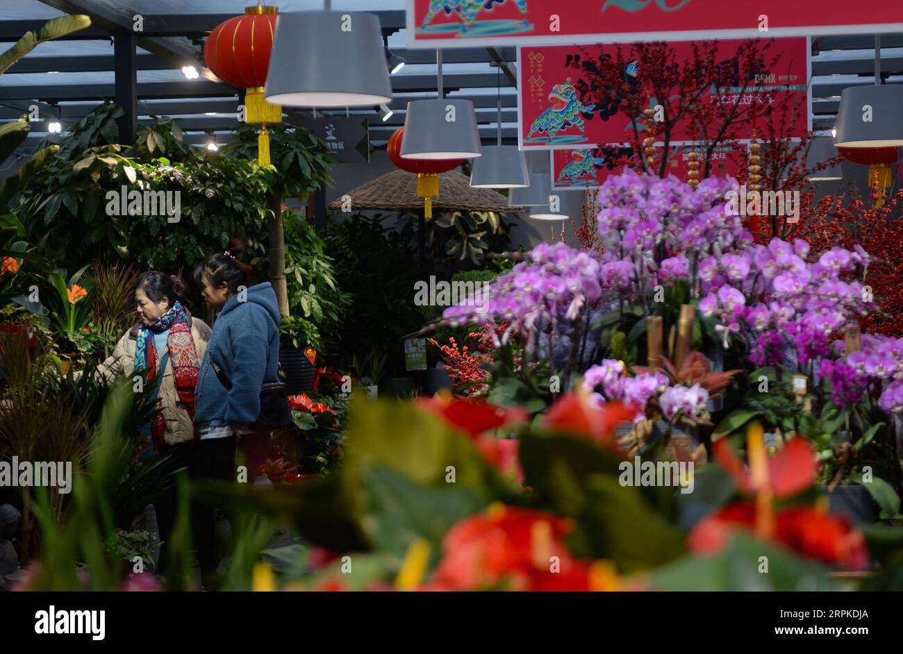 200108 CHANGSHA, 8. Januar 2020 Kunden wählen Blumen auf einem