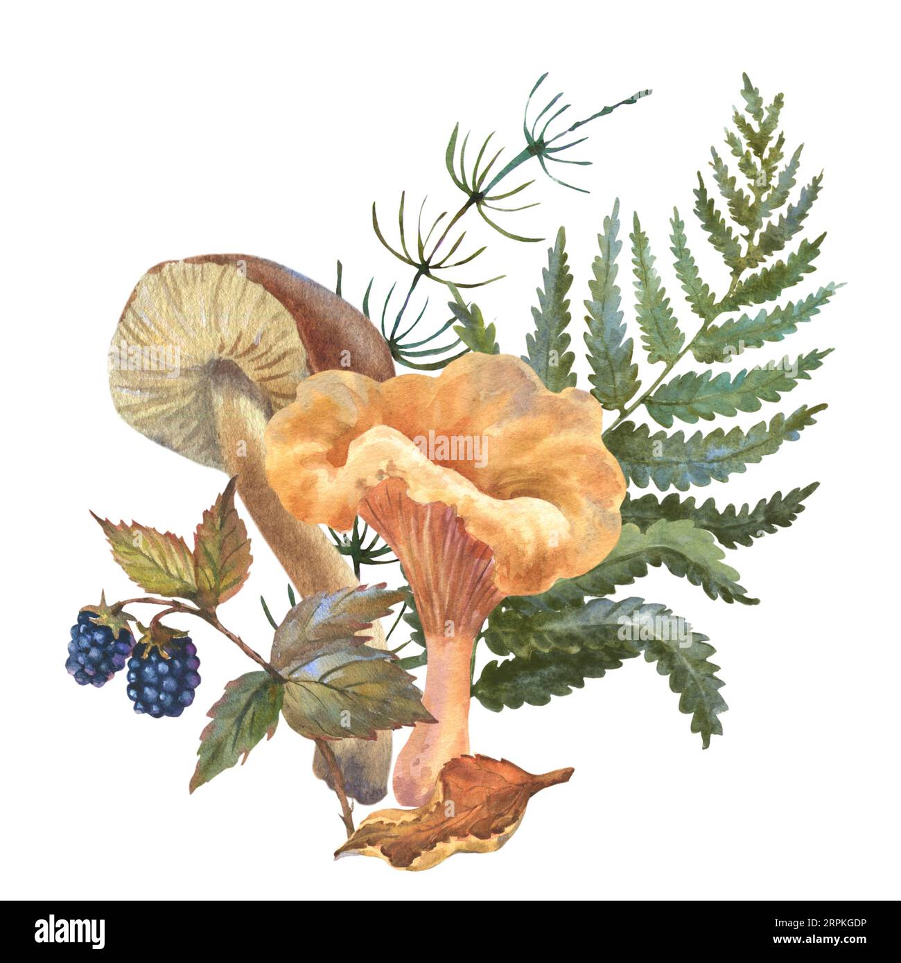 Aquarelle Herbstkomposition im Vintage-Stil. Handgemalte Illustration mit Kräutern, Beeren, Blättern und Pilzen in gedämpften Farben auf Weiß Stockfoto