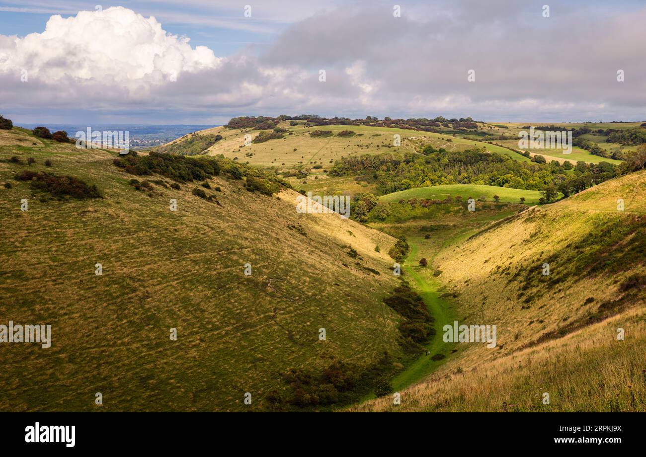 Das dramatische Tal des Devils Deiches in den südlichen Tiefen westlich von Sussex im Südosten Englands Stockfoto