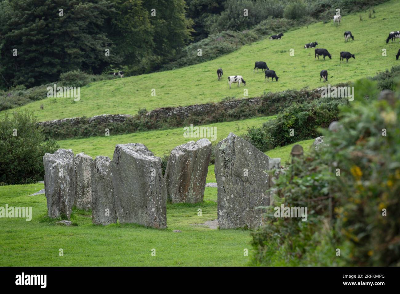 Megalithic Circle of Drombeg, - der Altar der Druiden-, Rosscarbery etwa aus dem Jahr 150 v. Chr., Irland, Vereinigtes Königreich Stockfoto