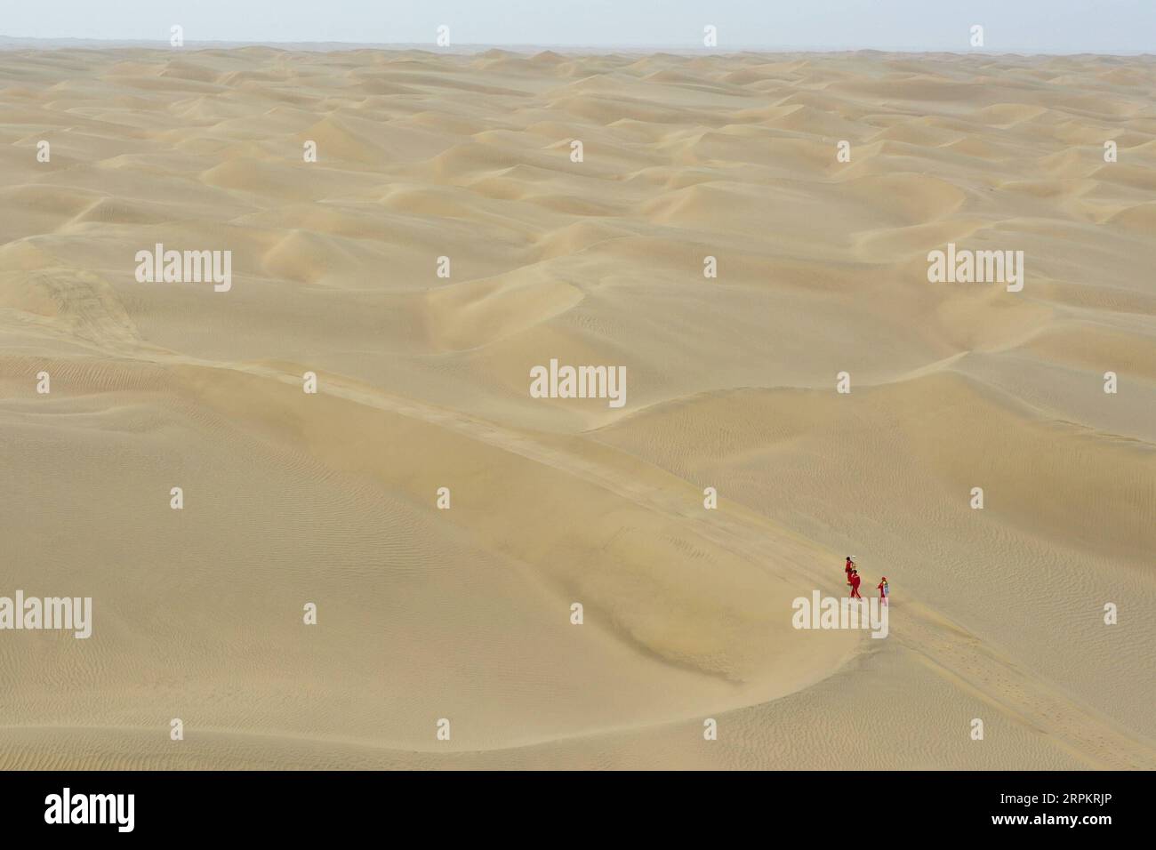 200117 -- XAYAR , 17. Januar 2020 -- Luftaufnahme aufgenommen am 13. Januar 2020 zeigt Messingenieure, die in der Taklimakan-Wüste, der nordwestchinesischen autonomen Region Xinjiang Uygur, spazieren. Die Wüste Taklimakan, auch als Meer des Todes bezeichnet, ist reich an Öl- und Gasressourcen, doch sie ist von extremen Hitze- und Kälteeinflüssen heimgesucht. Um die Ressourcen zu erforschen, sind mehrere Prozesse erforderlich, einschließlich der Durchführung geophysikalischer Vermessungen, um seismische Daten zu sammeln, um eine solide Grundlage für weitere Explorationen zu schaffen. Um diese Aufgabe zu erfüllen, müssen Arbeitnehmer und Forscher verschiedene Herausforderungen und Schwierigkeiten der Natur meistern. Jeder von euch Stockfoto